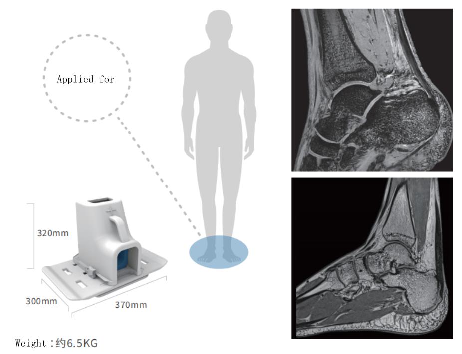 ankle coil
